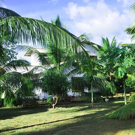 Coconut Garden House Hotell Udawalawe Exteriör bild