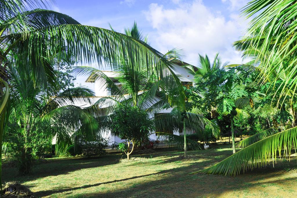 Coconut Garden House Hotell Udawalawe Exteriör bild