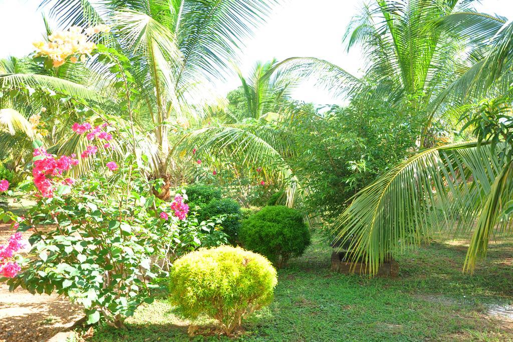 Coconut Garden House Hotell Udawalawe Exteriör bild