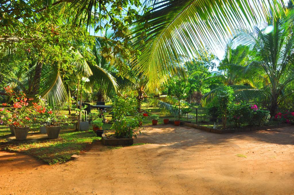Coconut Garden House Hotell Udawalawe Exteriör bild