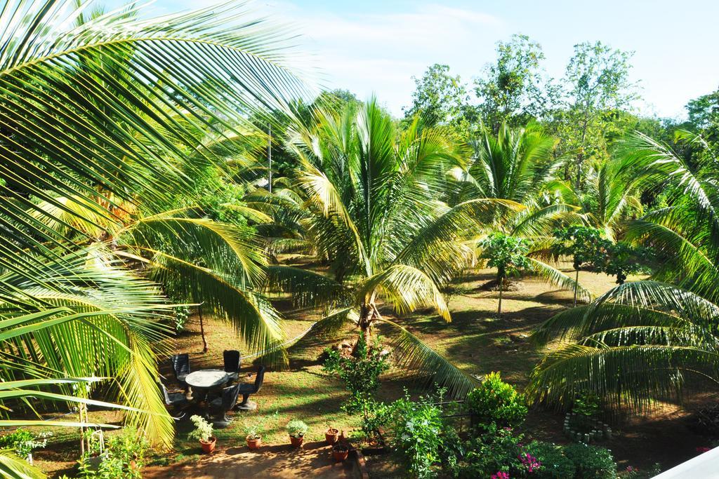 Coconut Garden House Hotell Udawalawe Exteriör bild